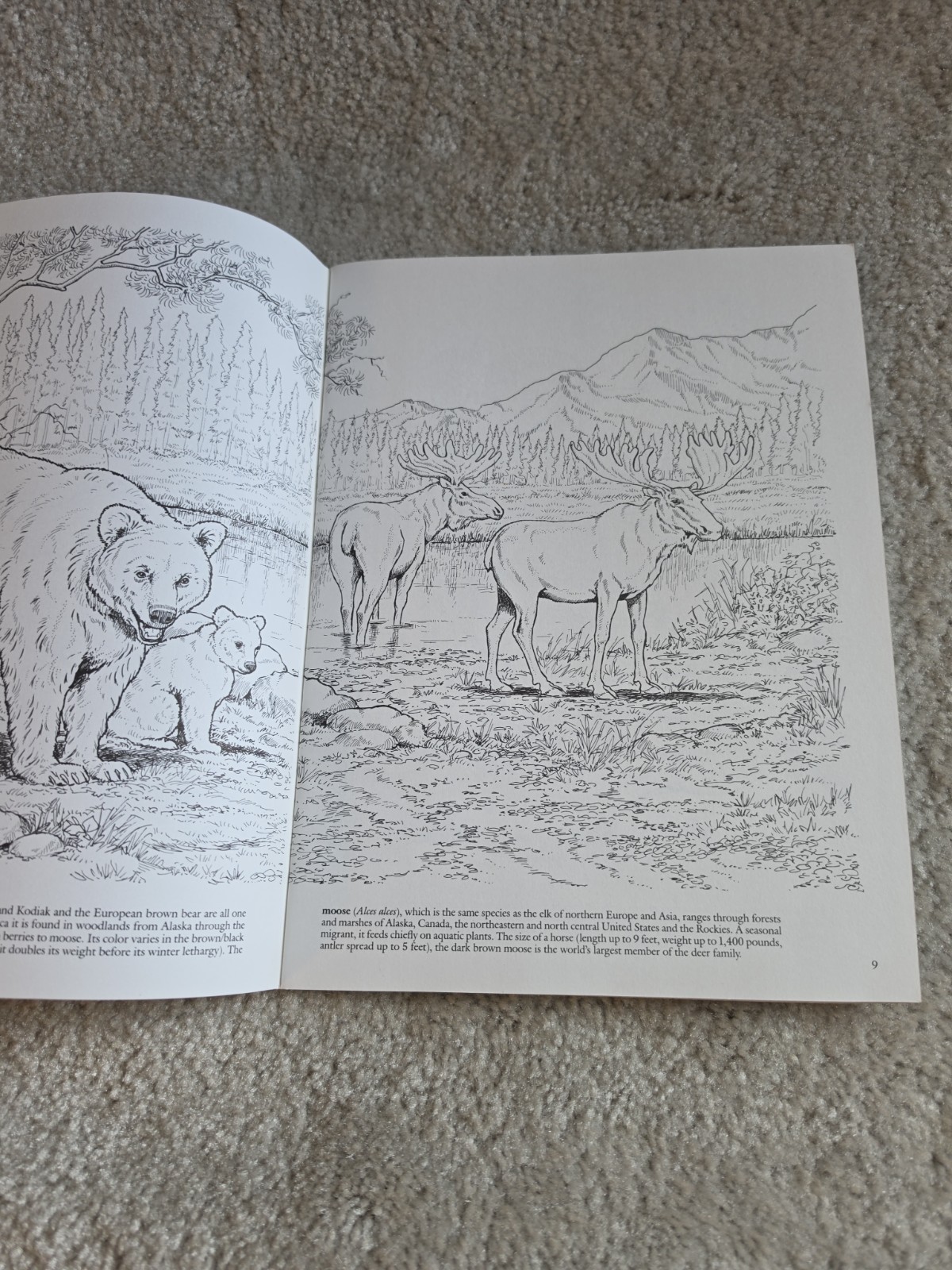 Vintage Lot Of 4 Coloring Books. Dover Publications. Houghton Mifflin Company