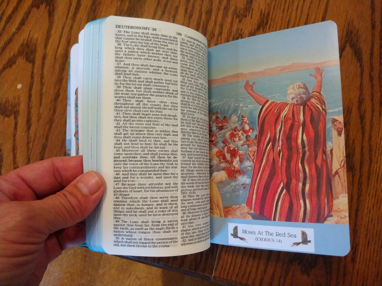 Children&rsquo;s Bible KJV Seaside Bible Illustrated Nelson Hardcover blue edge