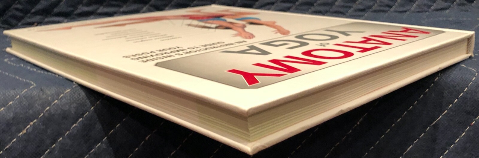 Anatomy Of Ser.: Anatomy of Yoga : An Instructor&rsquo;s Inside Guide to Improving…