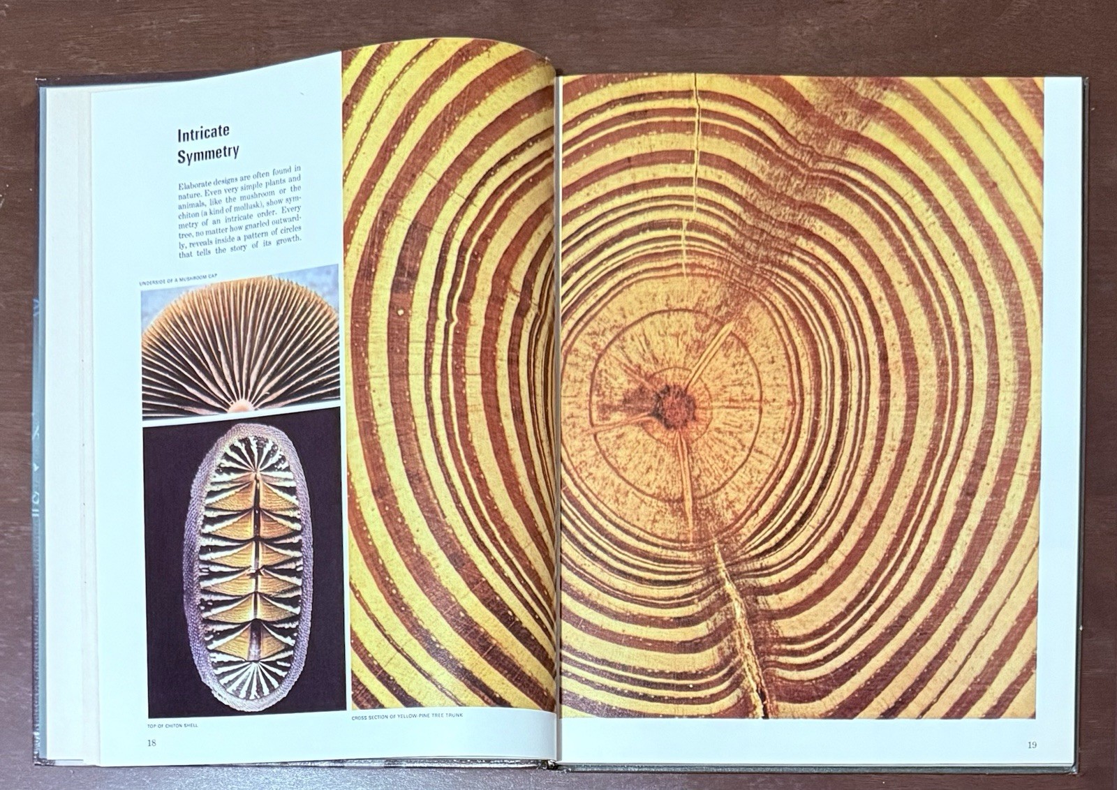 The Scientist by Henry Margenau & David Bergamini, Time Life Science Library mc2
