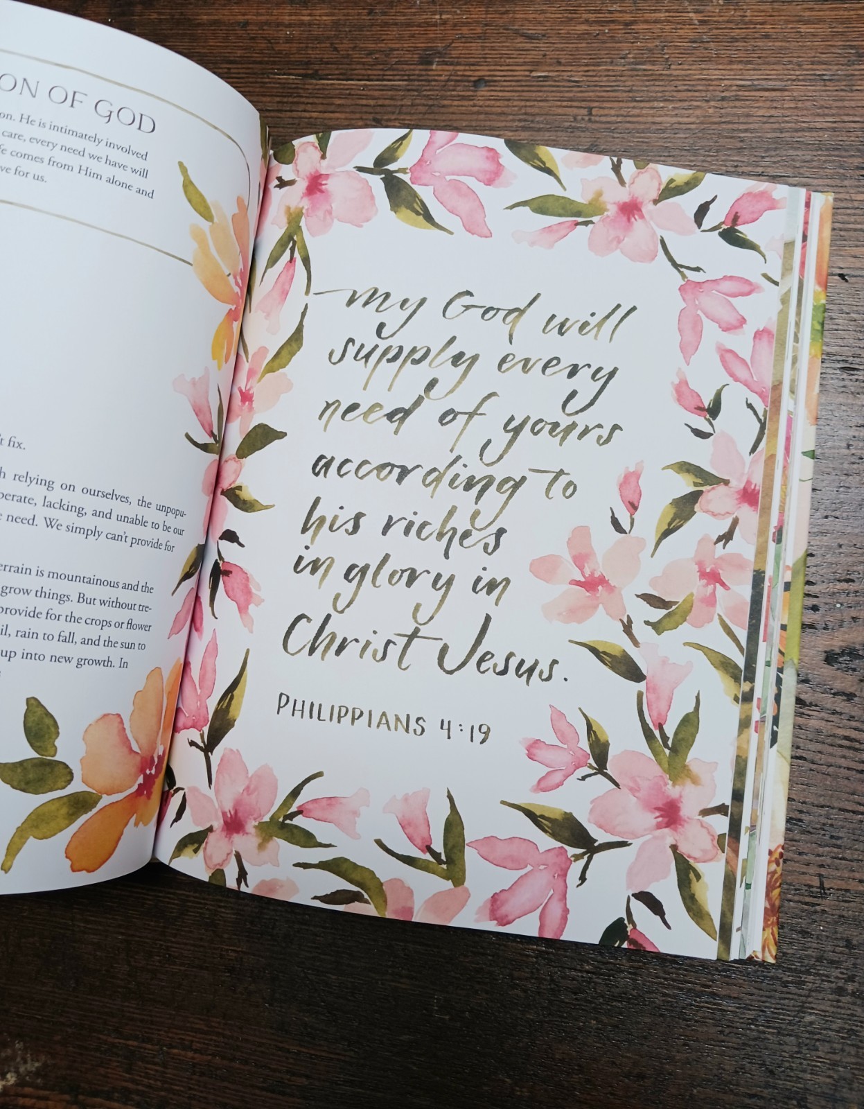 Pilgrim: 25 Ways God&rsquo;s Character Leads Us Onward by Ruth Chou Simons