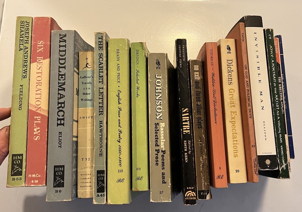 Lot 17 Vintage 60&rsquo;s 70&rsquo;s Literature Classics Drama Novels Paperback Books Mix