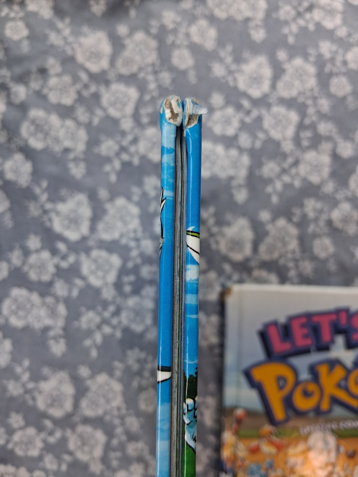 Pair of « Let&rsquo;s Find Pokemon! » Hardcover GOLD & SILVER / SPECIAL COMPLETE EDITION