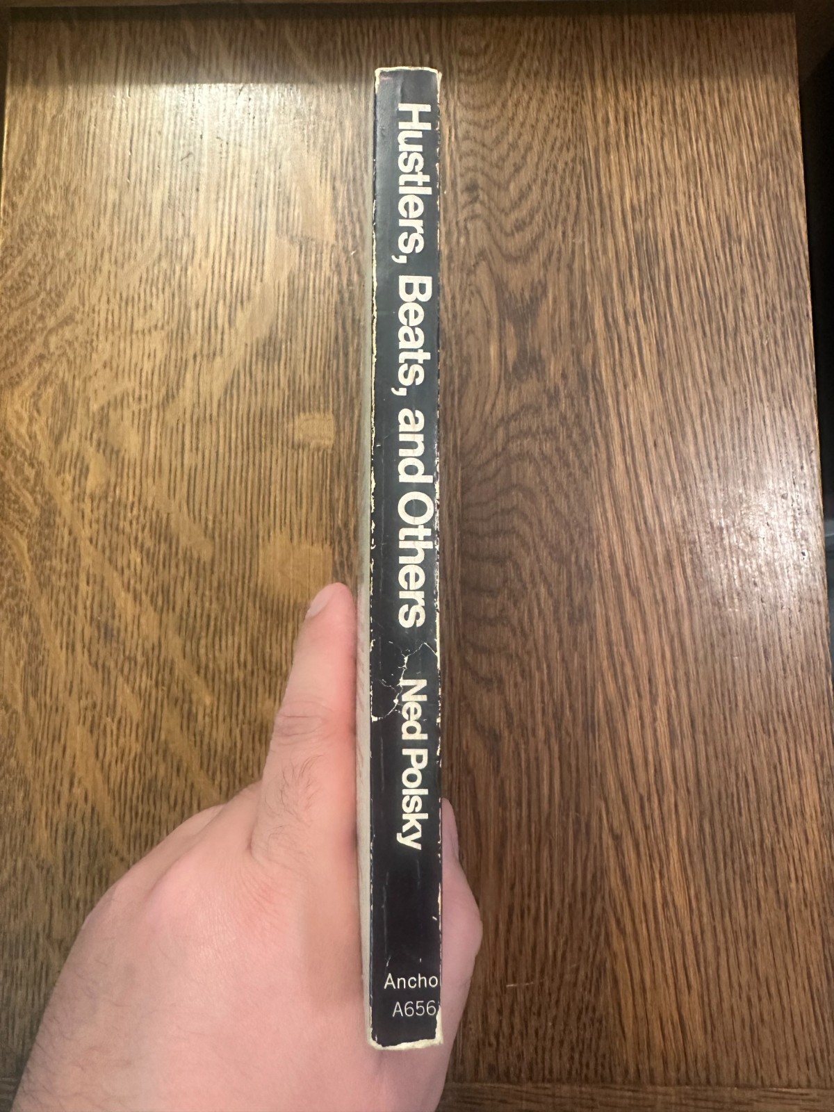Hustlers, Beats and Others by Ned Polsky 1969 PB BILLIARDS POOL SOCIOLOGY
