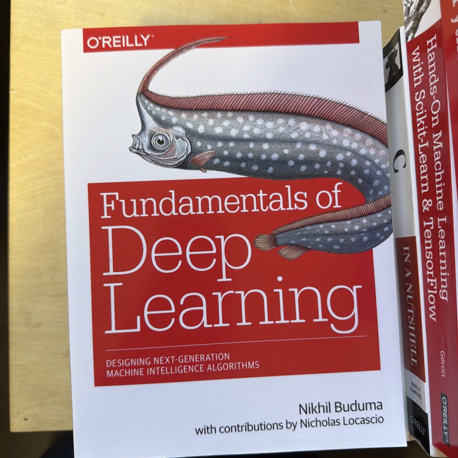 O&rsquo;Reilly Lot Of 13 Programming & CompSci Books Python SQL Java C Deep Learning