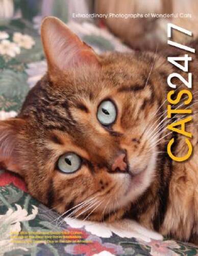 Cats 247: Extraordinary Photographs of Wonderful Cats – Hardcover – VERY GOOD