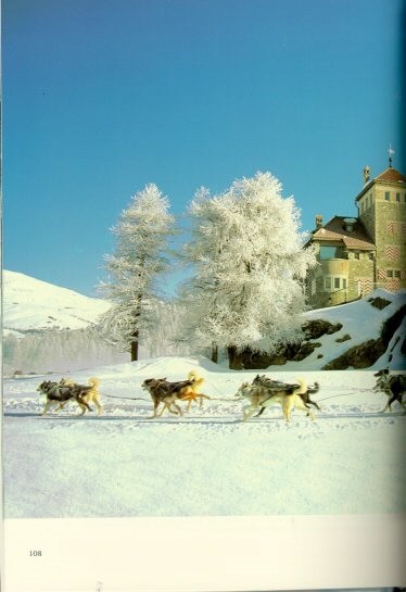 Husky Hardback Book: Huskies In Action by Rico Pfirstinger