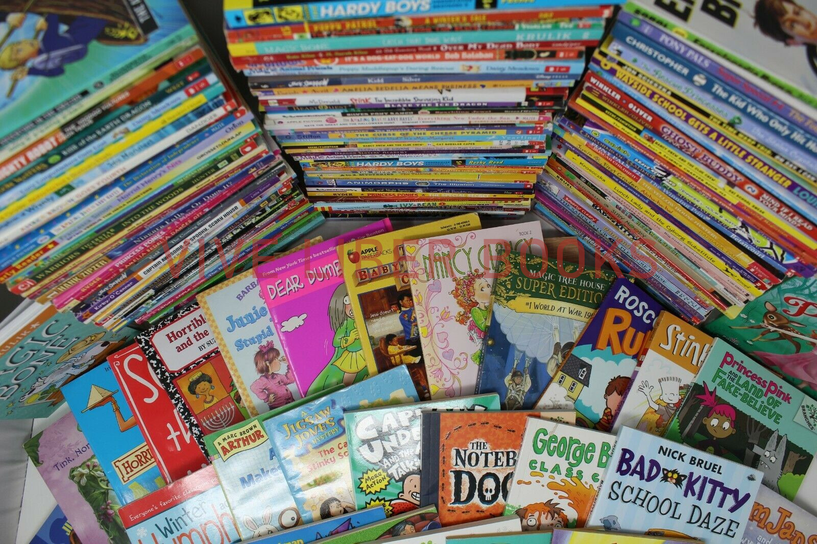 Bulk/Huge Lot of 50 of Children&rsquo;s Kids Chapter Books – Random – Free Shipping!