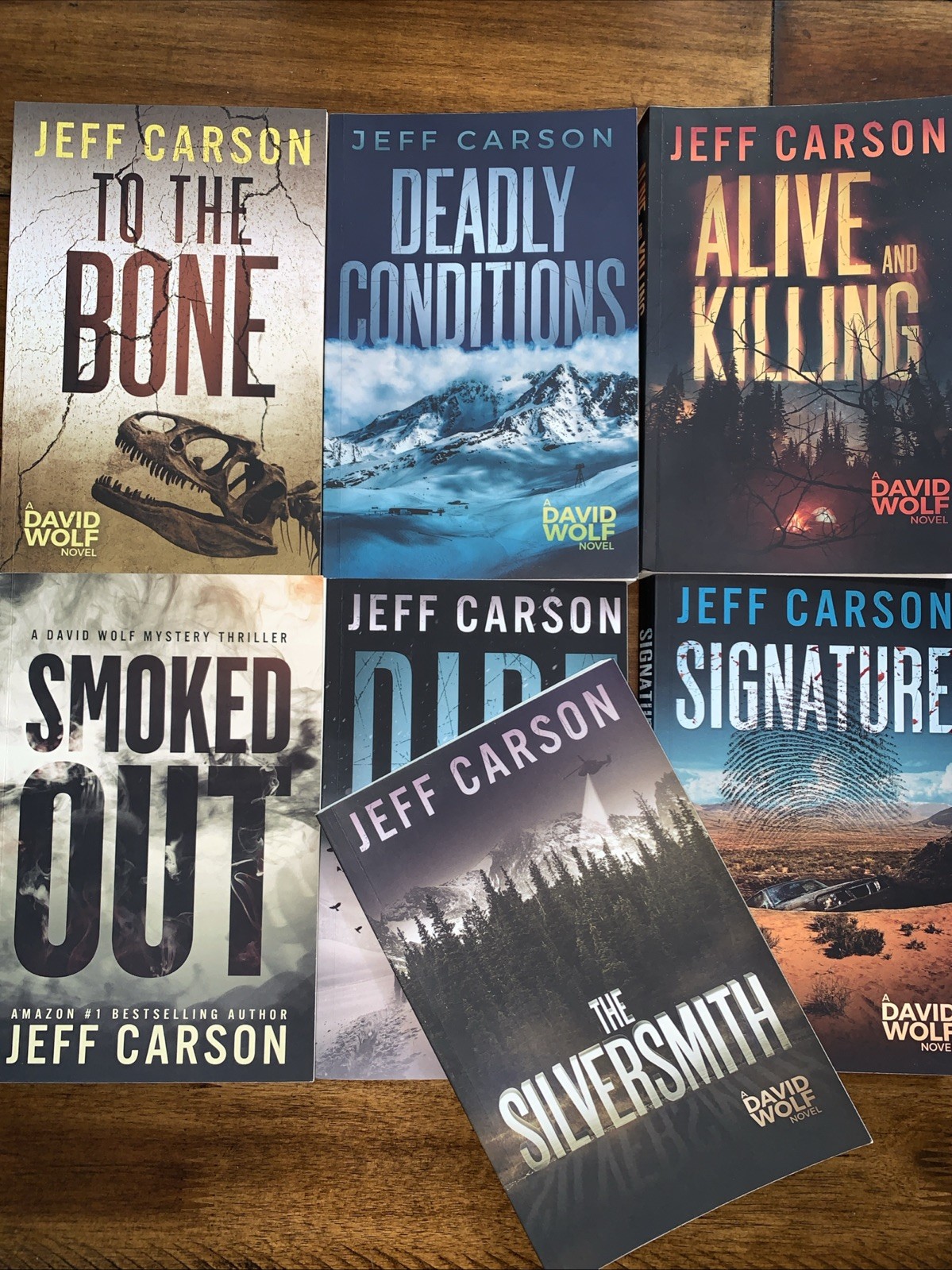 Lot of 7 David Wolf Mystery Jeff Carson Books