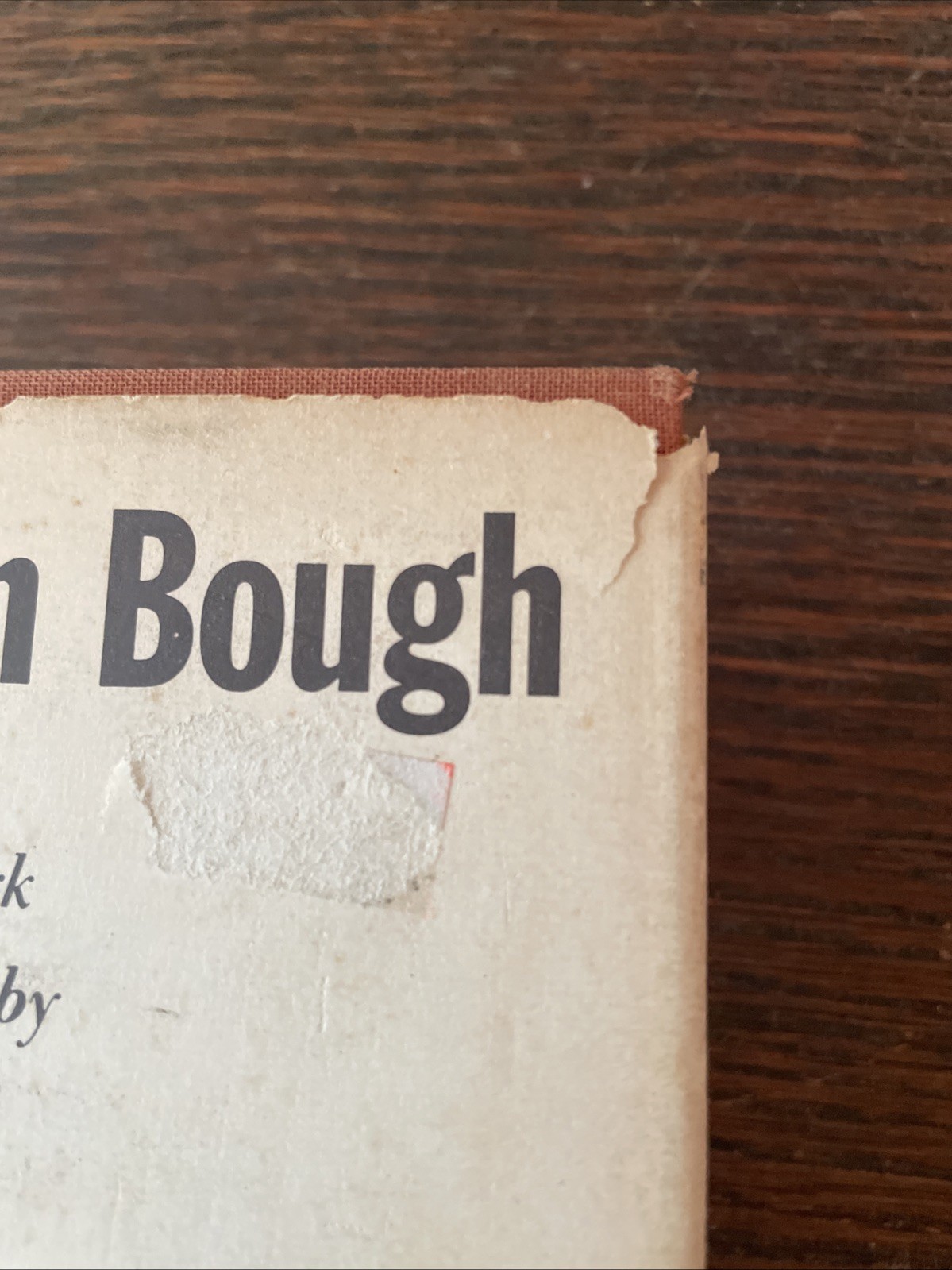 The New Golden Bough Frazer Gaster Vintage HCDJ Mythology Folklore Occult