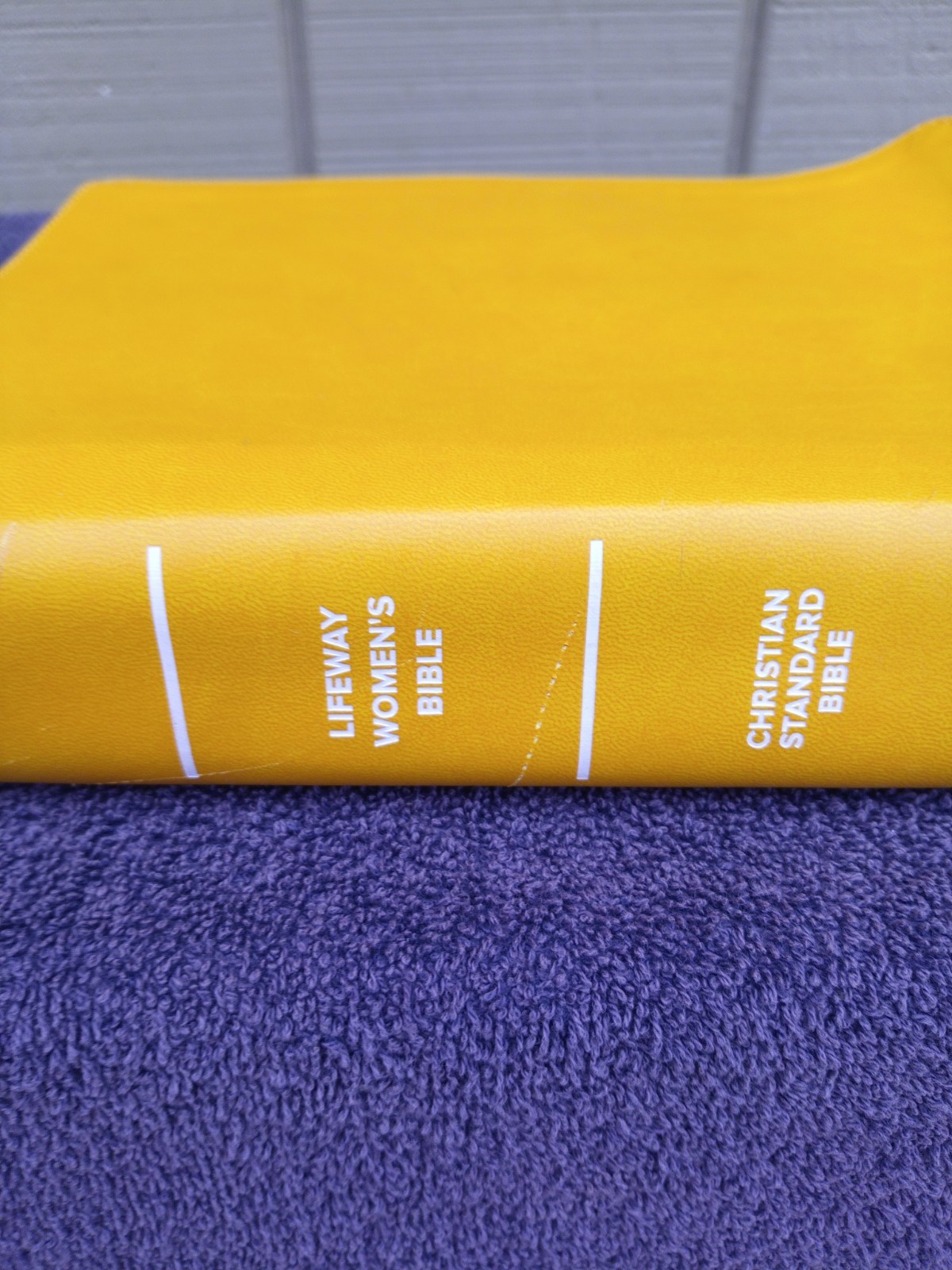 CBS Christian Standard Lifeway Women&rsquo;s Bible Marigold LeatherTouch READ DESCRIPT