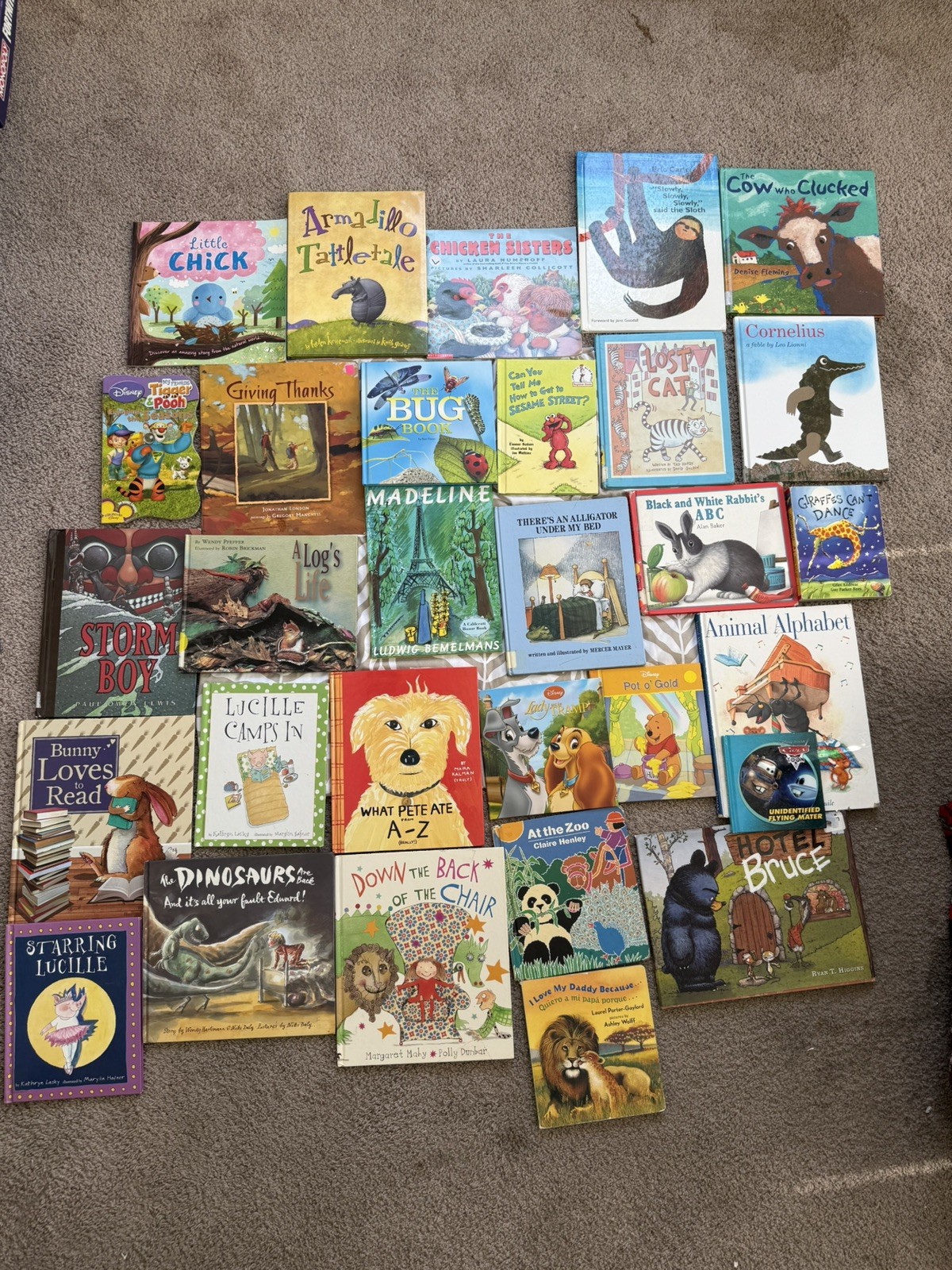 Random Lot of 30 – Books for Children&rsquo;s/ Kids/ Toddler Babies/Preschool/Daycare