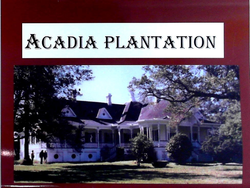 2 in 1 Books on Jim Bowie Edwin Forrest Knife & Acadia Plantation Bowie&rsquo;s Home