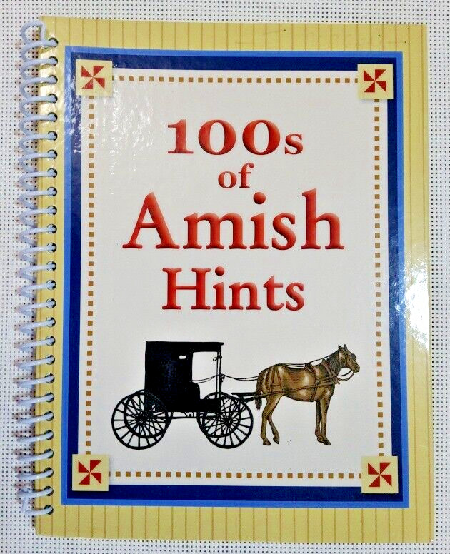 100&rsquo;s of Amish Hints Book Writing inside front flap