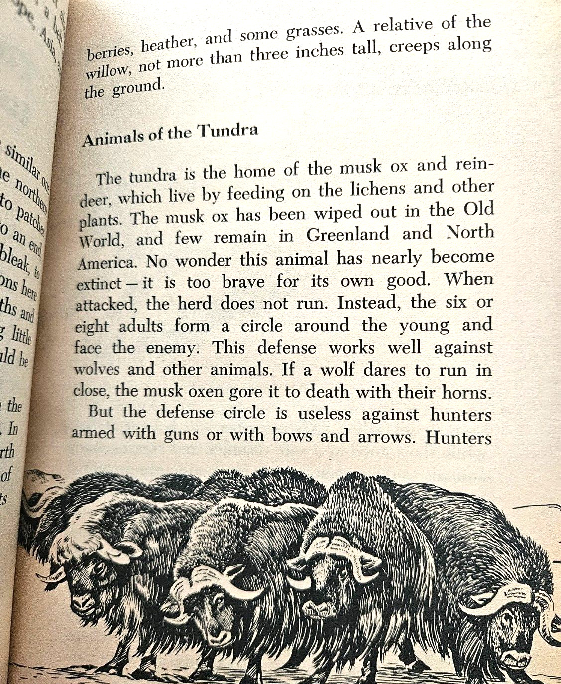 The Story of the Ice Age Paperback Book by Rose Wyler and Gerald Ames ice flowed