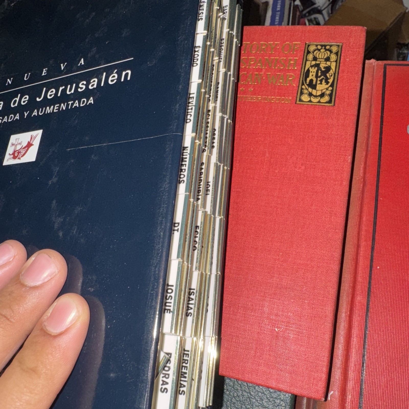 Biblia De Jeruzslem Nueva Edición Totalmente Revisada