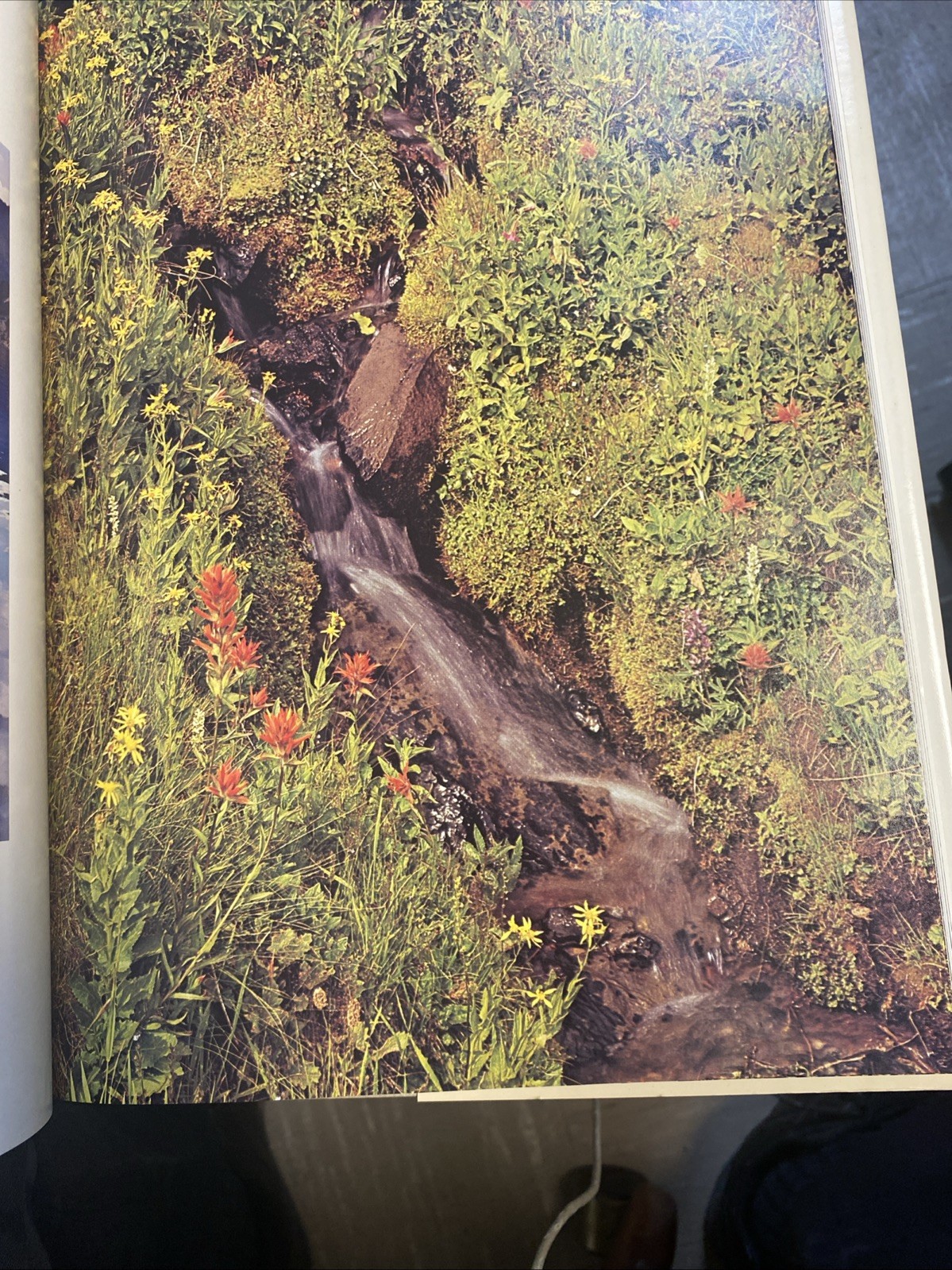 Oregon II – Hardcover By Ray Atkeson – VERY GOOD