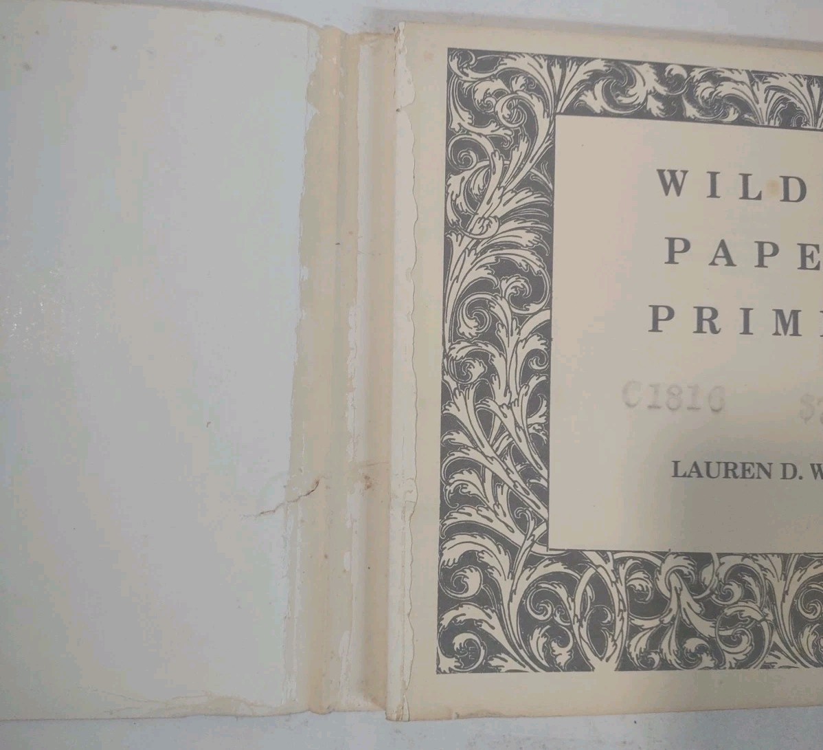 Wild&rsquo;s Paper Primer by Lauren D Wild 1982