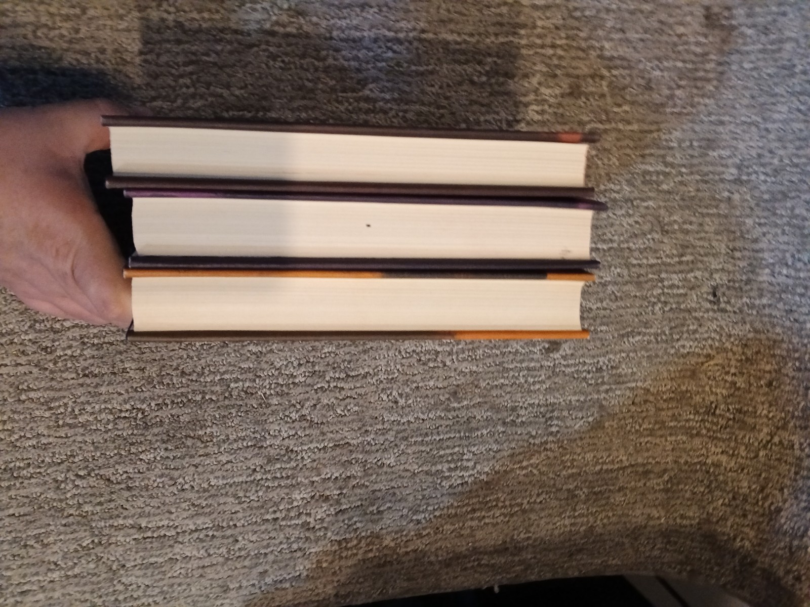 1965 Lord of the Rings Trilogy Complete Set 2nd Edition 1965 J.R.R. Tolkien LOTR
