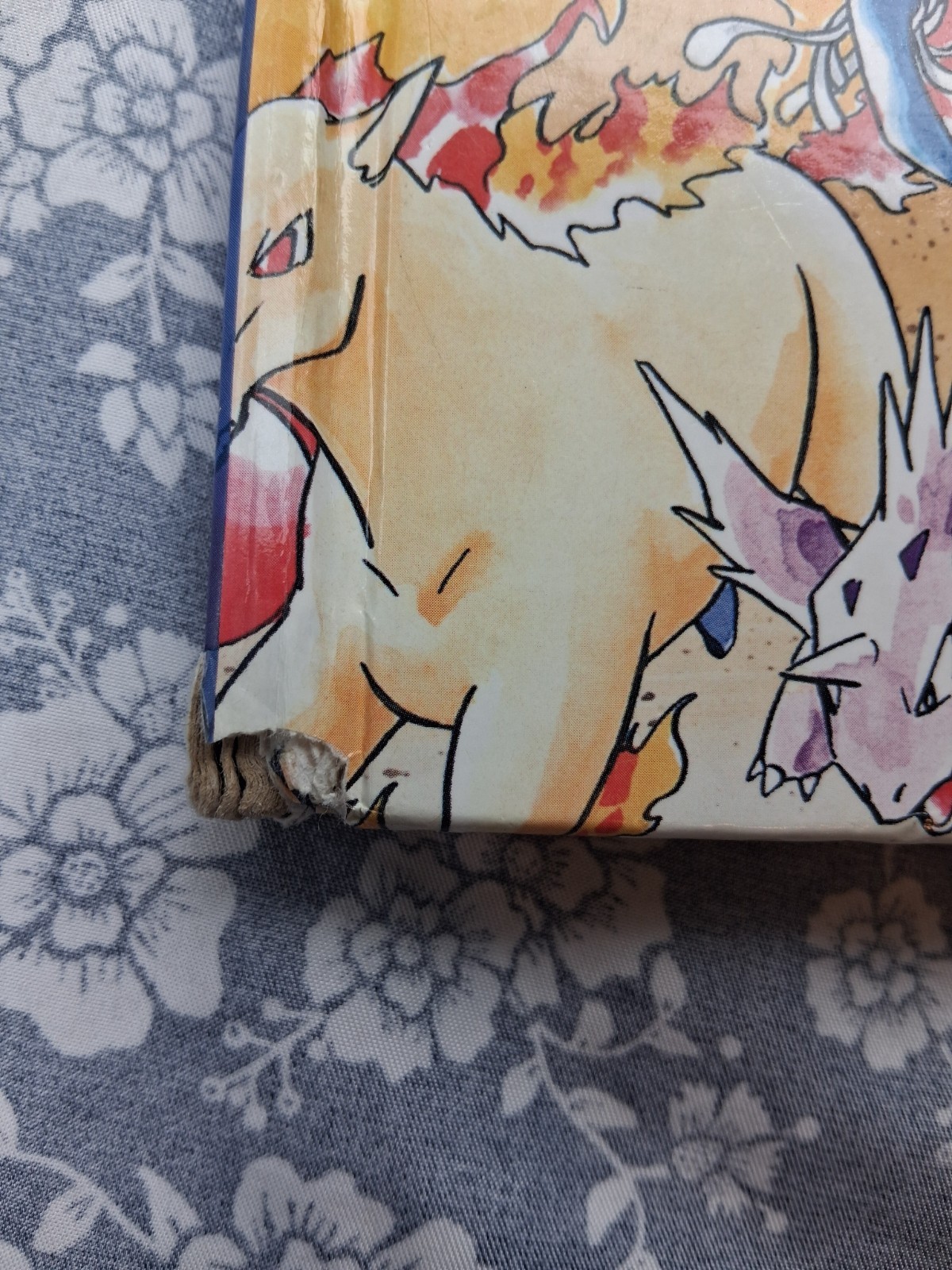 Pair of « Let&rsquo;s Find Pokemon! » Hardcover GOLD & SILVER / SPECIAL COMPLETE EDITION
