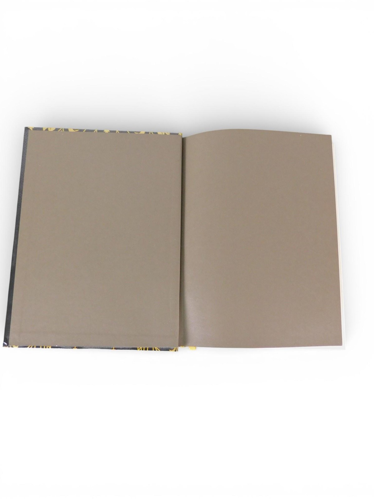 Grimoire Arin Murphy-Hiscock Adams Media Black Gold HC Witchcraft Magic Journal