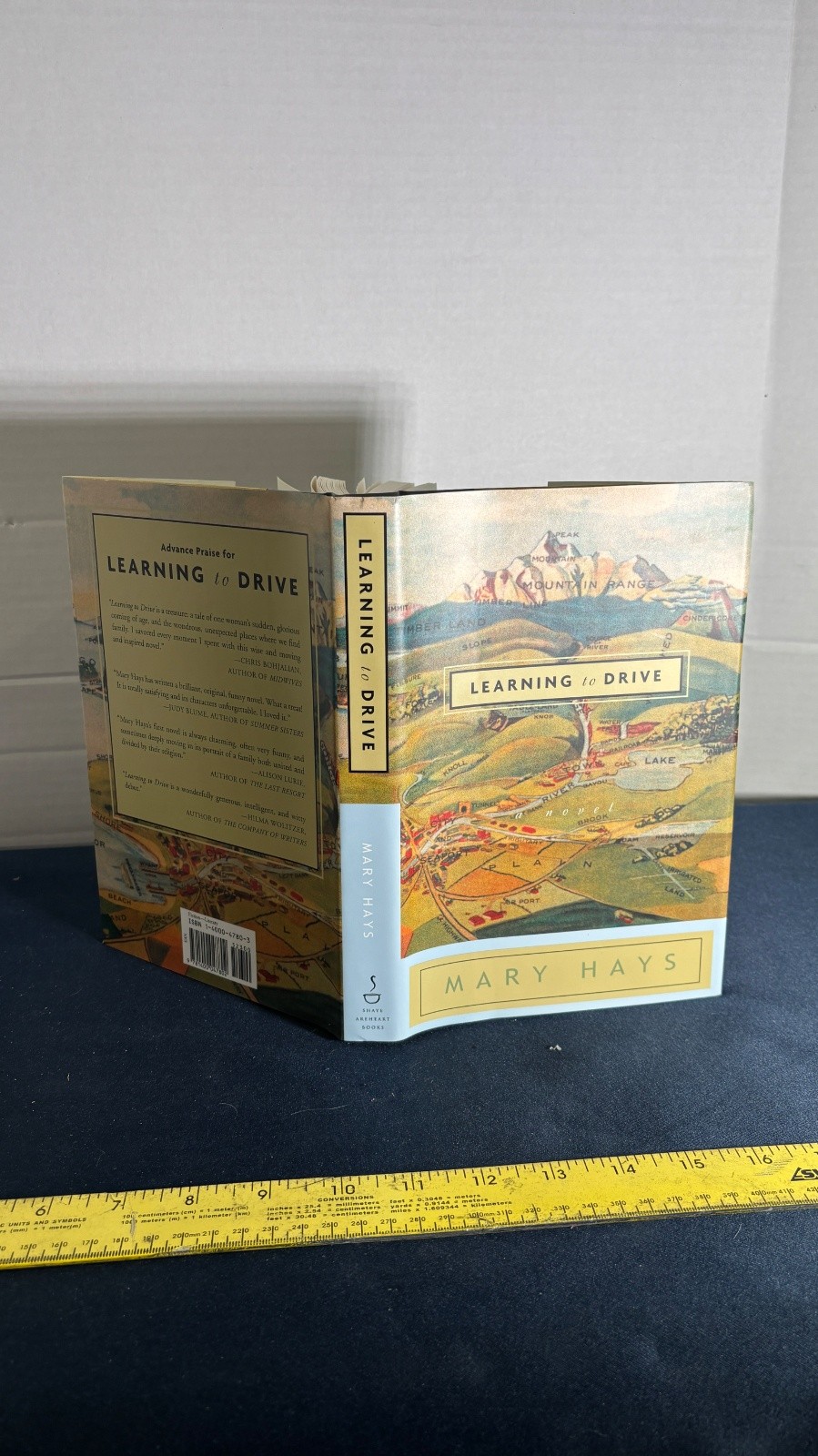 Learning to Drive A Novel by Mary Hays Hardcover with Dust Jacket First Edition