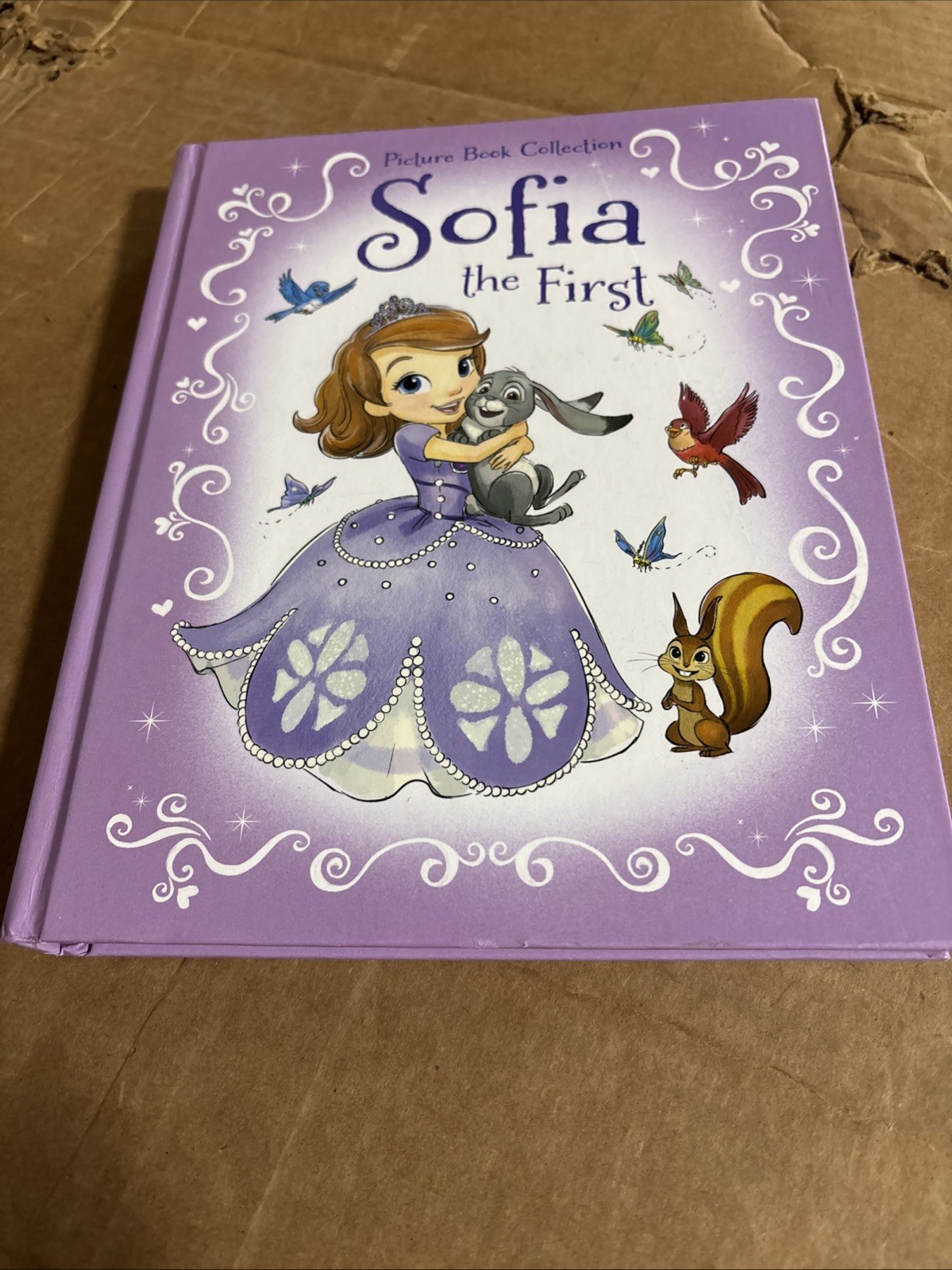 Sofia the First Picture Book Collection
