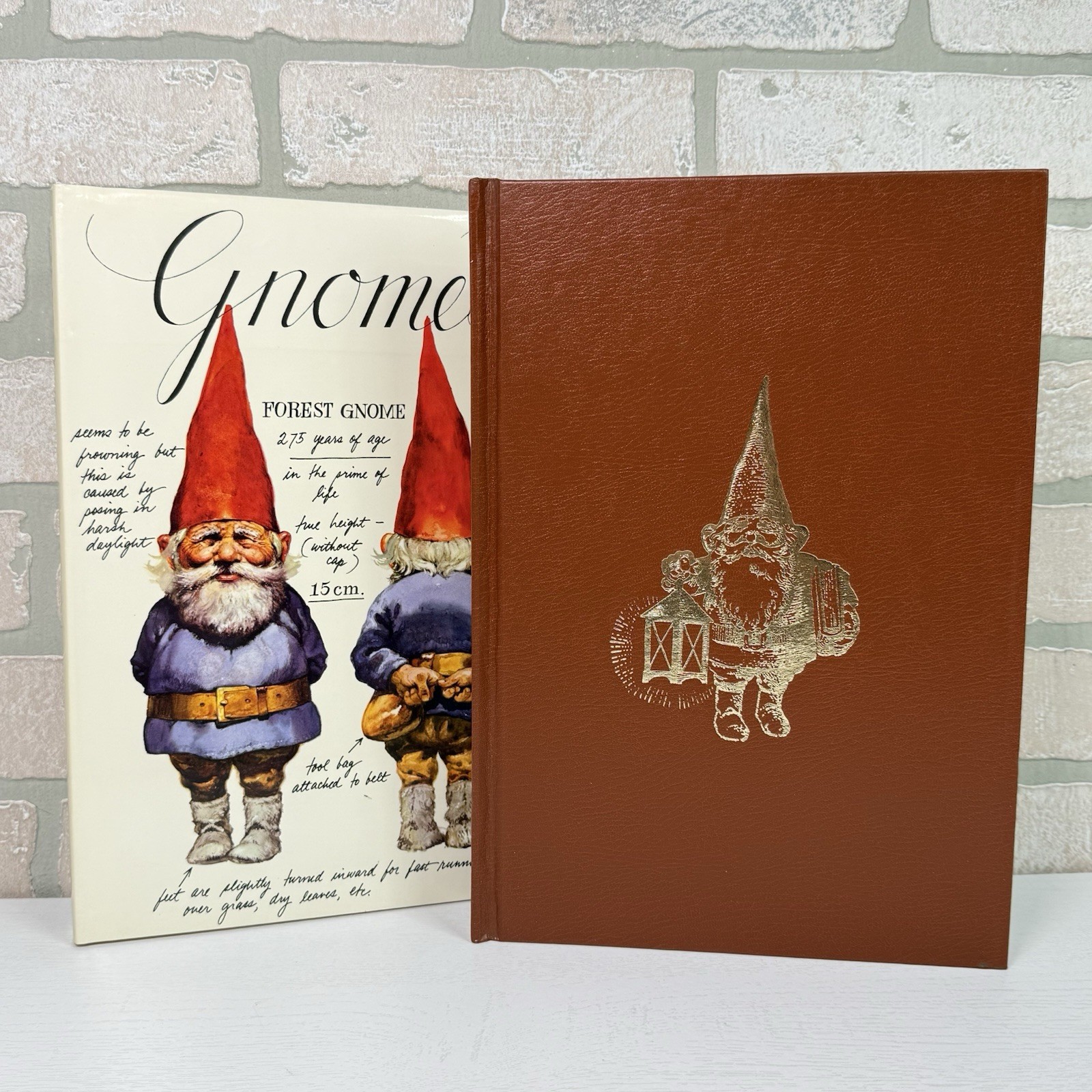 Gnomes Wil Huygen Rien Poortvliet 1977 Abrams Illustrated Fantasy Folklore HC DJ