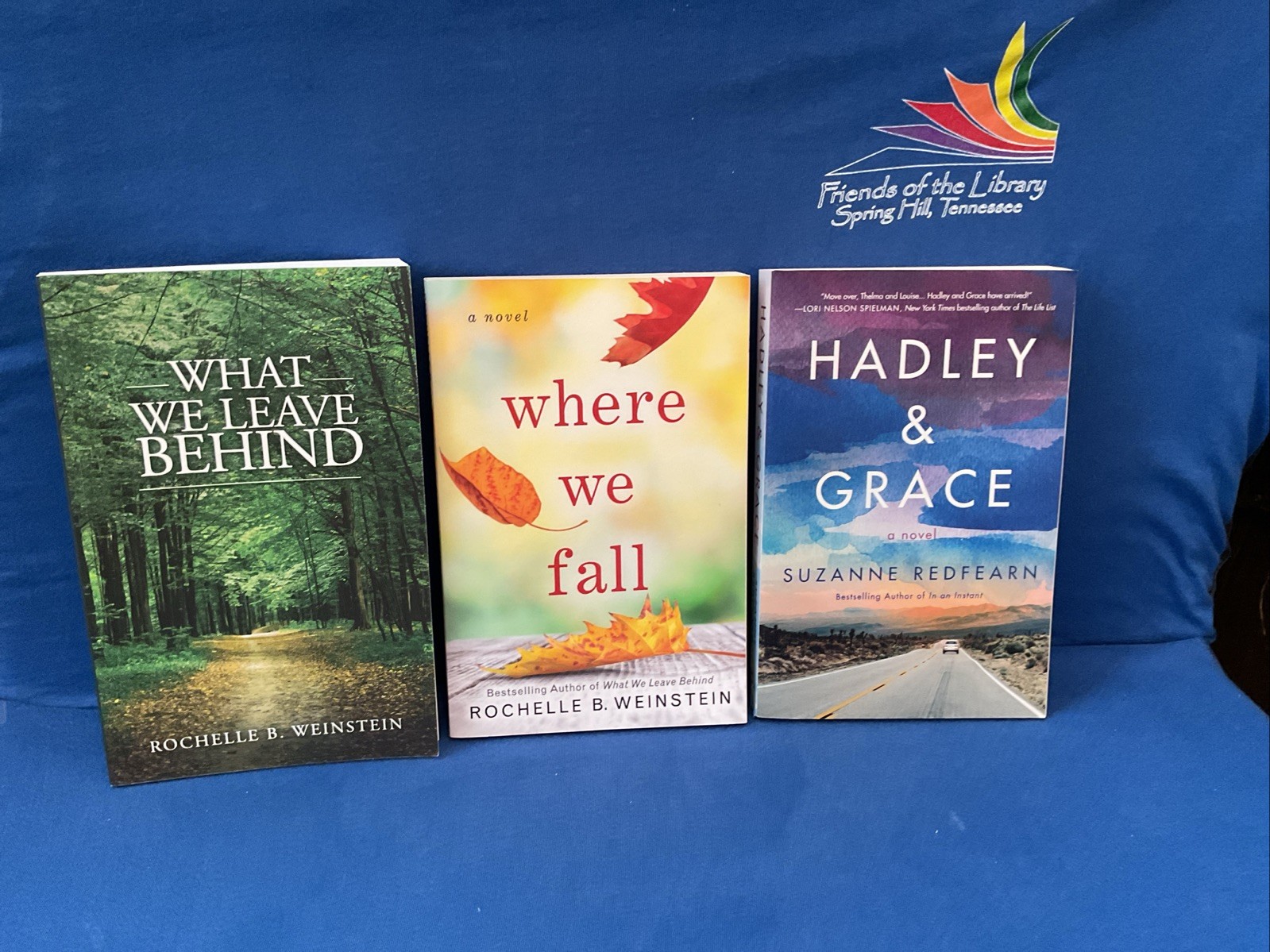 Lot of 11 – Women&rsquo;s Contemporary Topics, By Jodi Picoult & Others, PB
