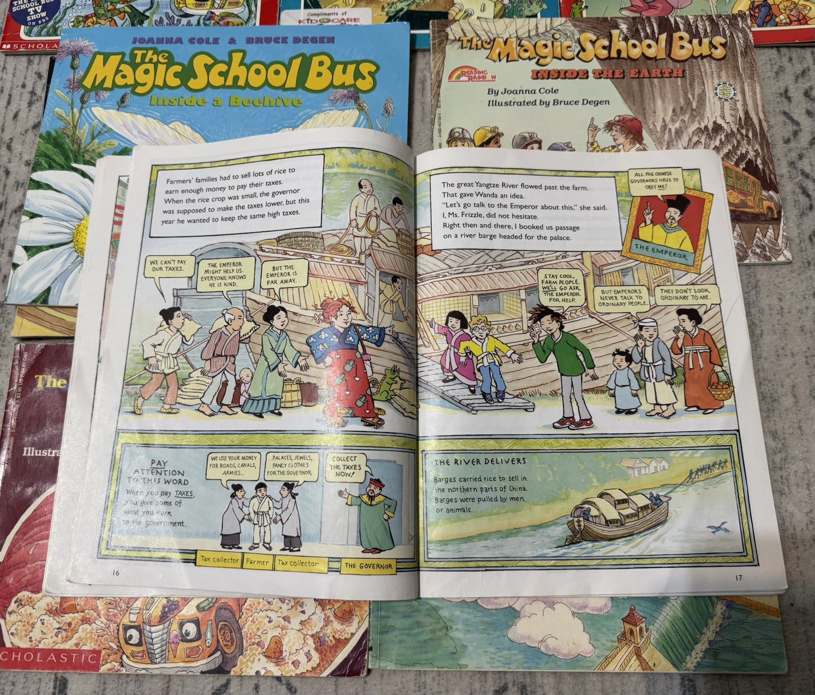 Magic School Bus Book Lot 18 Joanna Cole Scholastic