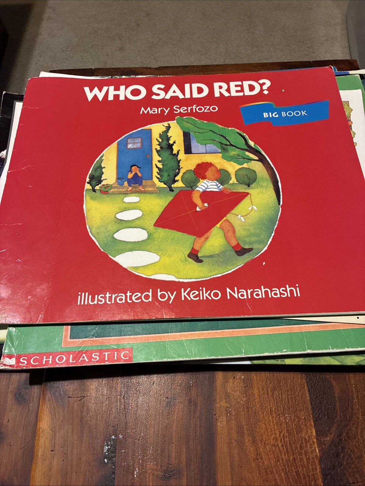 TEACHER BIG BOOKS – Many Different Book Titles – Only $18 Each – Free Shipping
