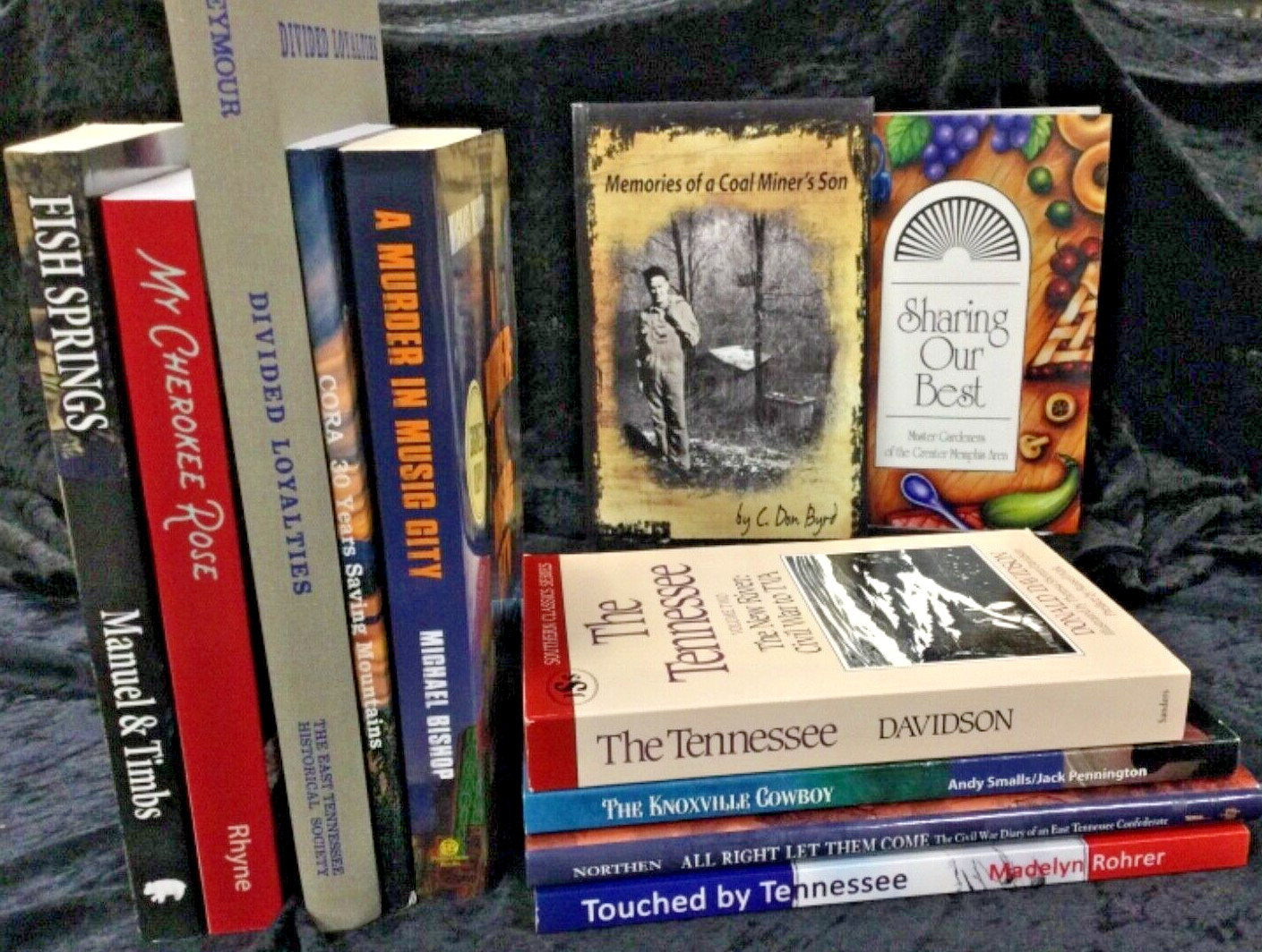 Tennessee – People Places Stories Sports & History – Choose from 90+ titles