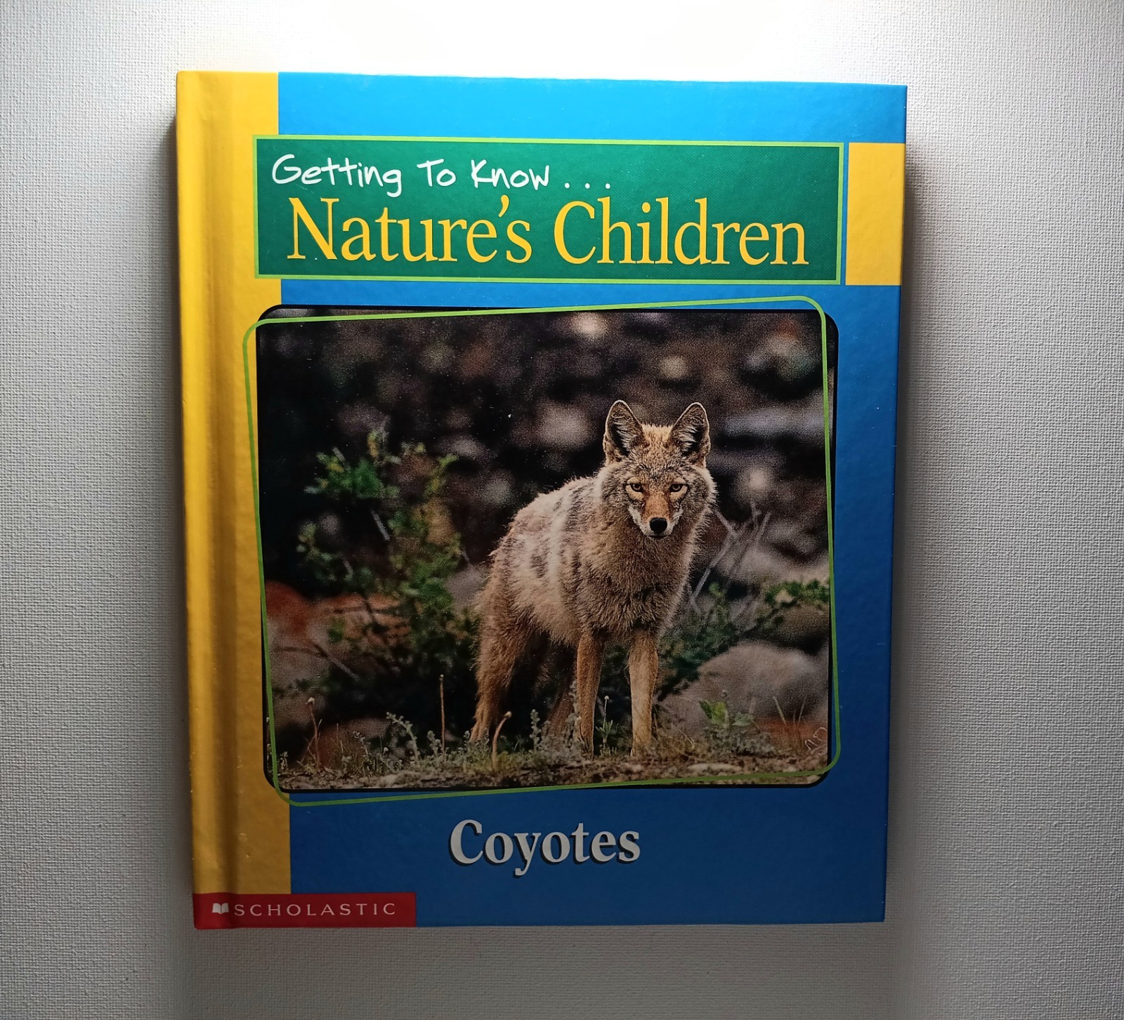 Scholastic Getting to know Nature&rsquo;s children Animal Books Lot of 6 (hard cover)