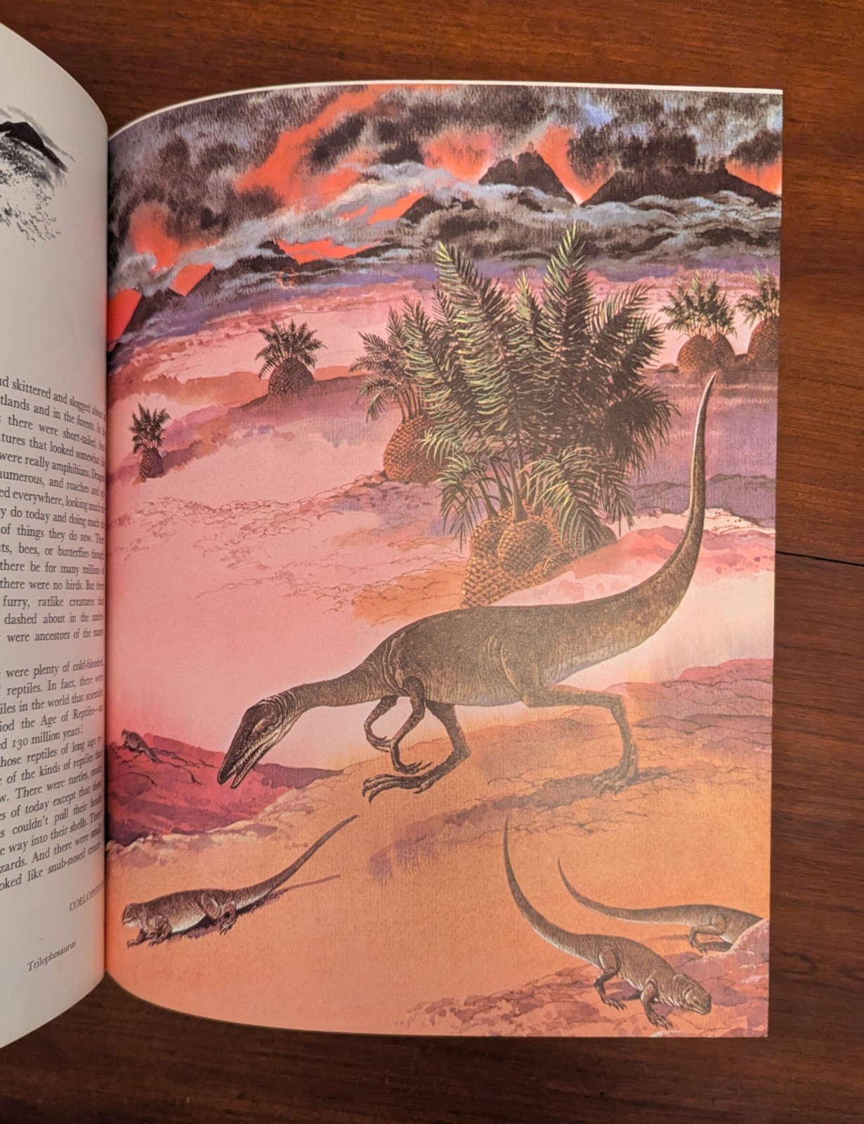 Album Of Dinosaurs Vintage Children&rsquo;s Hardcover Tom McGowen Rand McNally 1976