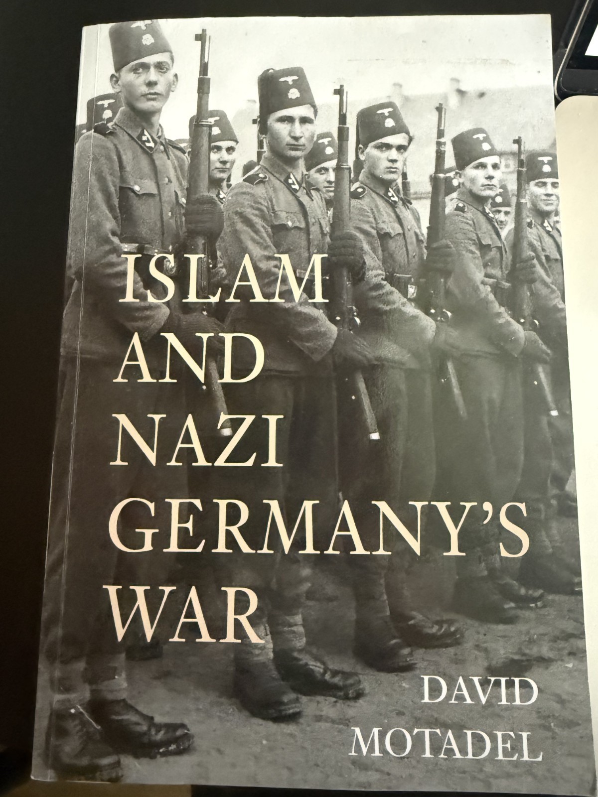 Islam and Nazi Germany&rsquo;s War