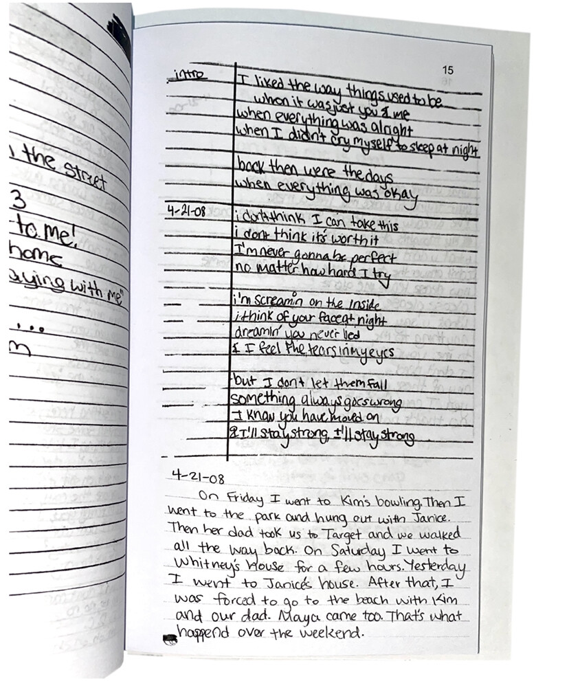 2008-2009 Used Handwritten Diary Dina Lilys Journal print copy vintage 103 pages