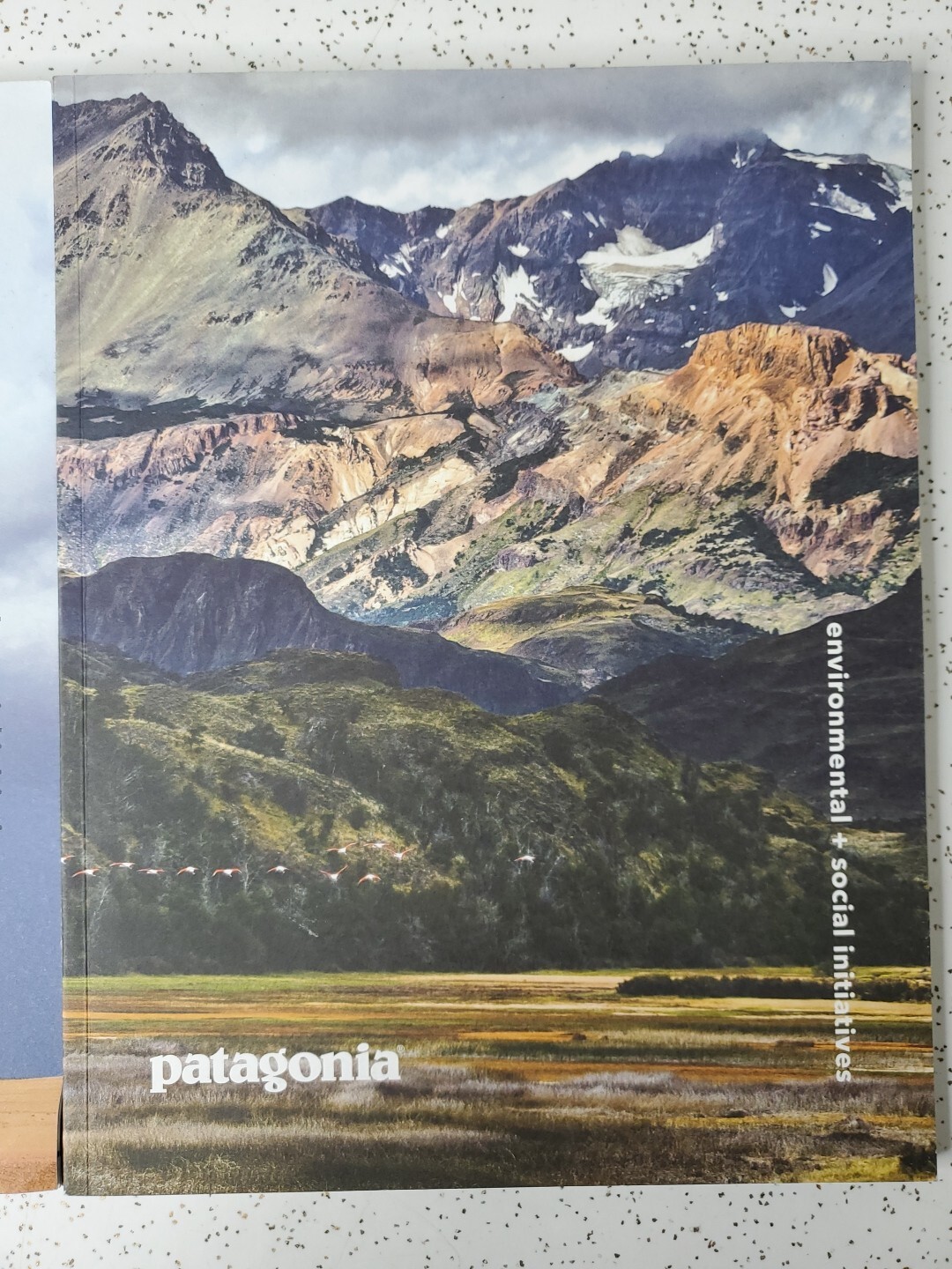 Patagonia ENVIRONMENTAL + SOCIAL INITIATIVES 2015-16 Magazine Report