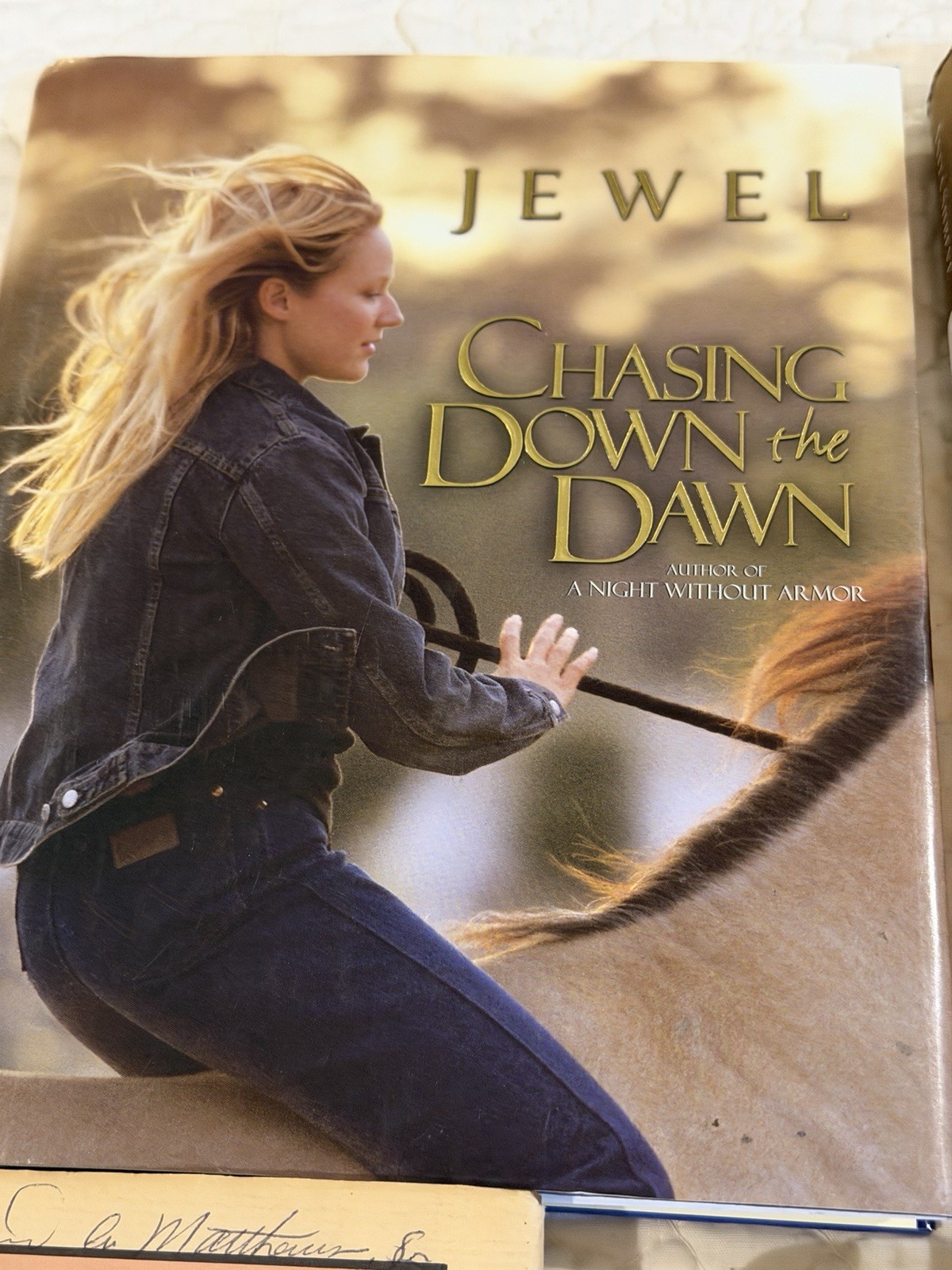 Fiction Book Lot 5 Anita Shreve Jewel Ashley Warlick Mixed Novels