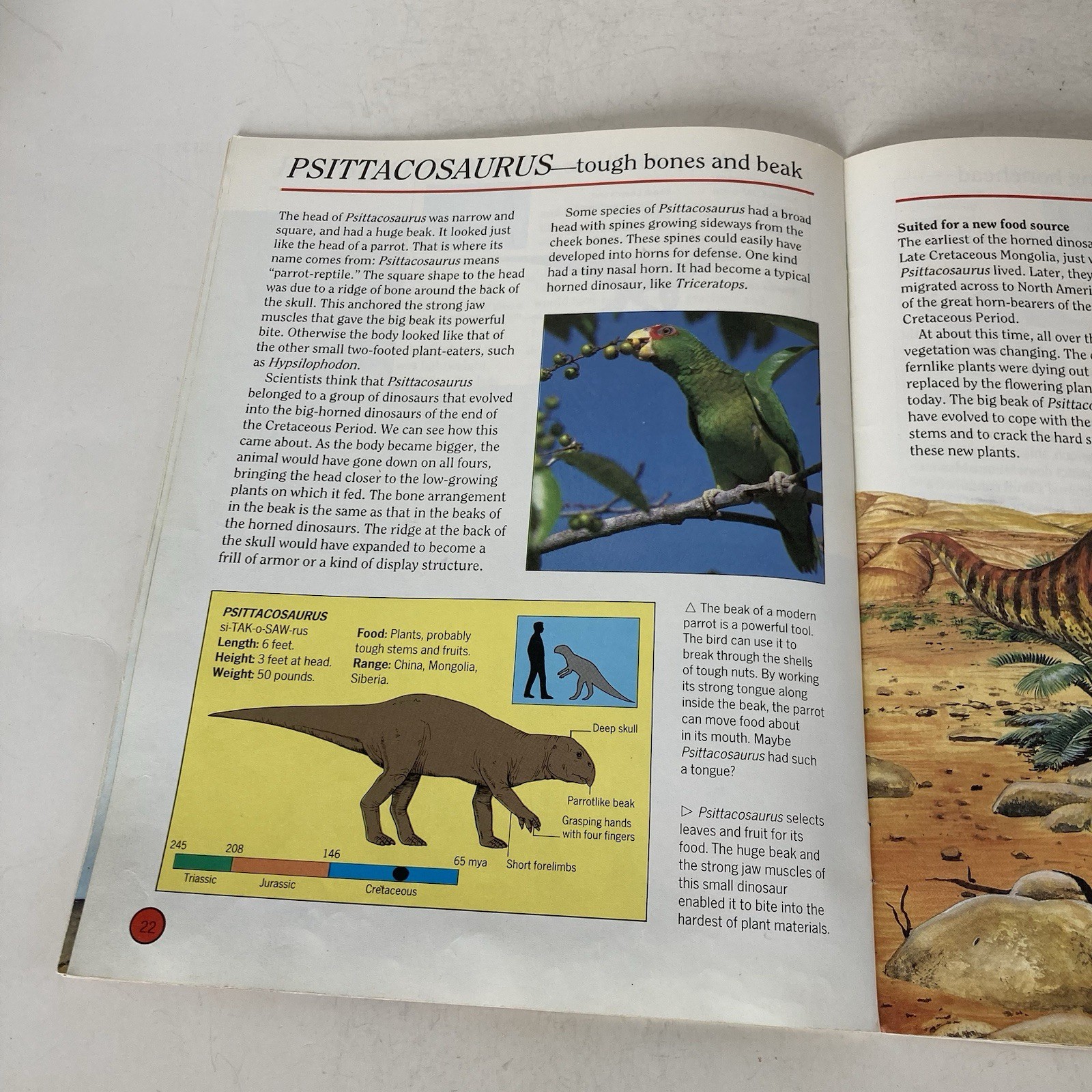 Vintage 1993 DINOSAURS Dougal Dixon Lot of 5 Highlights Books for Children