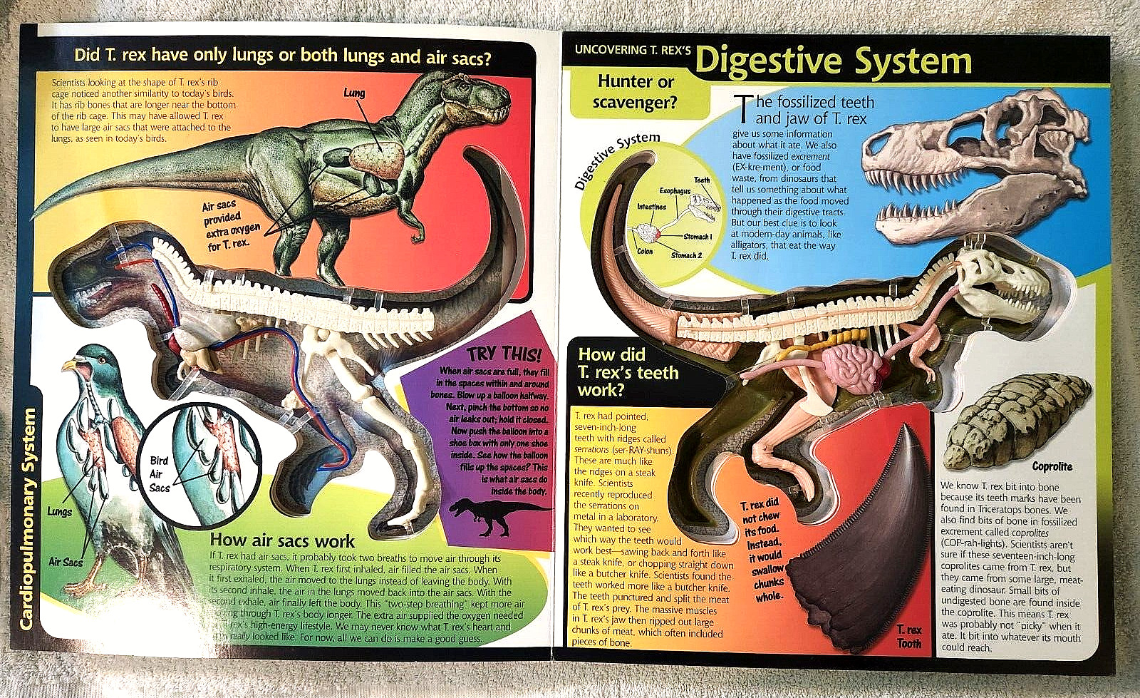 Take A Three-Dimensional Look Inside a T-Rex (2003 Readerlink Uncover Books Used
