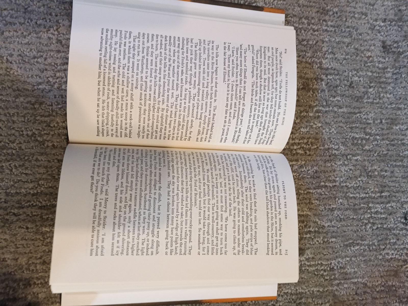 1965 Lord of the Rings Trilogy Complete Set 2nd Edition 1965 J.R.R. Tolkien LOTR