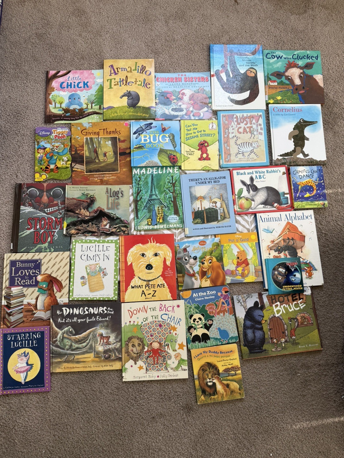 Random Lot of 30 – Books for Children&rsquo;s/ Kids/ Toddler Babies/Preschool/Daycare