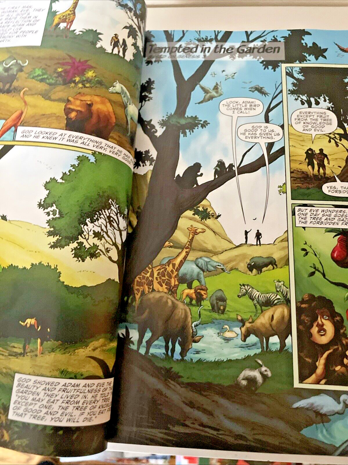 The Action Bible: God&rsquo;s Redemptive Story Sergio Cariello 2020 Book Comic 1st ed.