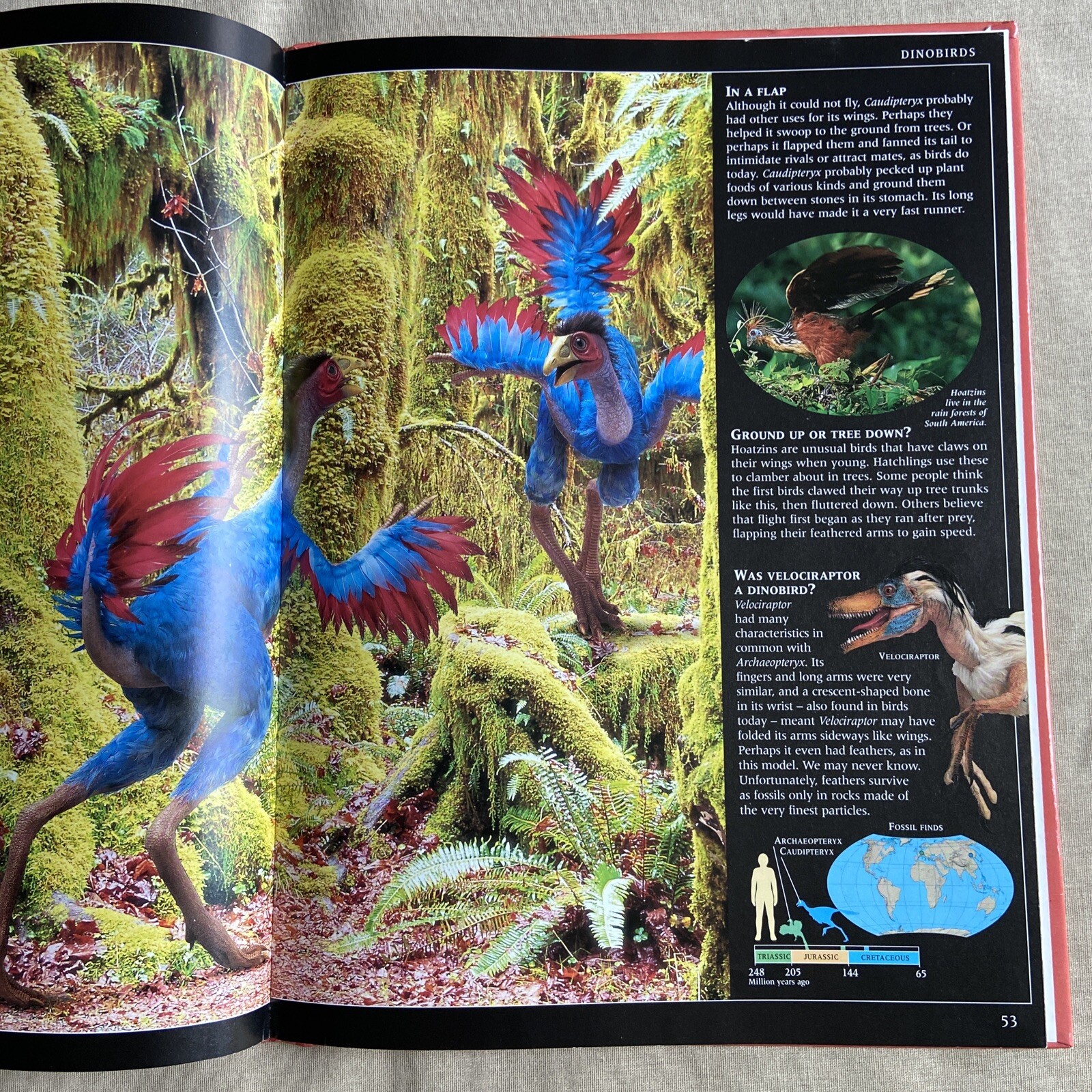 Guide to Dinosaurs by David Lambert (2000, DK Hardcover PERMA-BOUND) Children NF