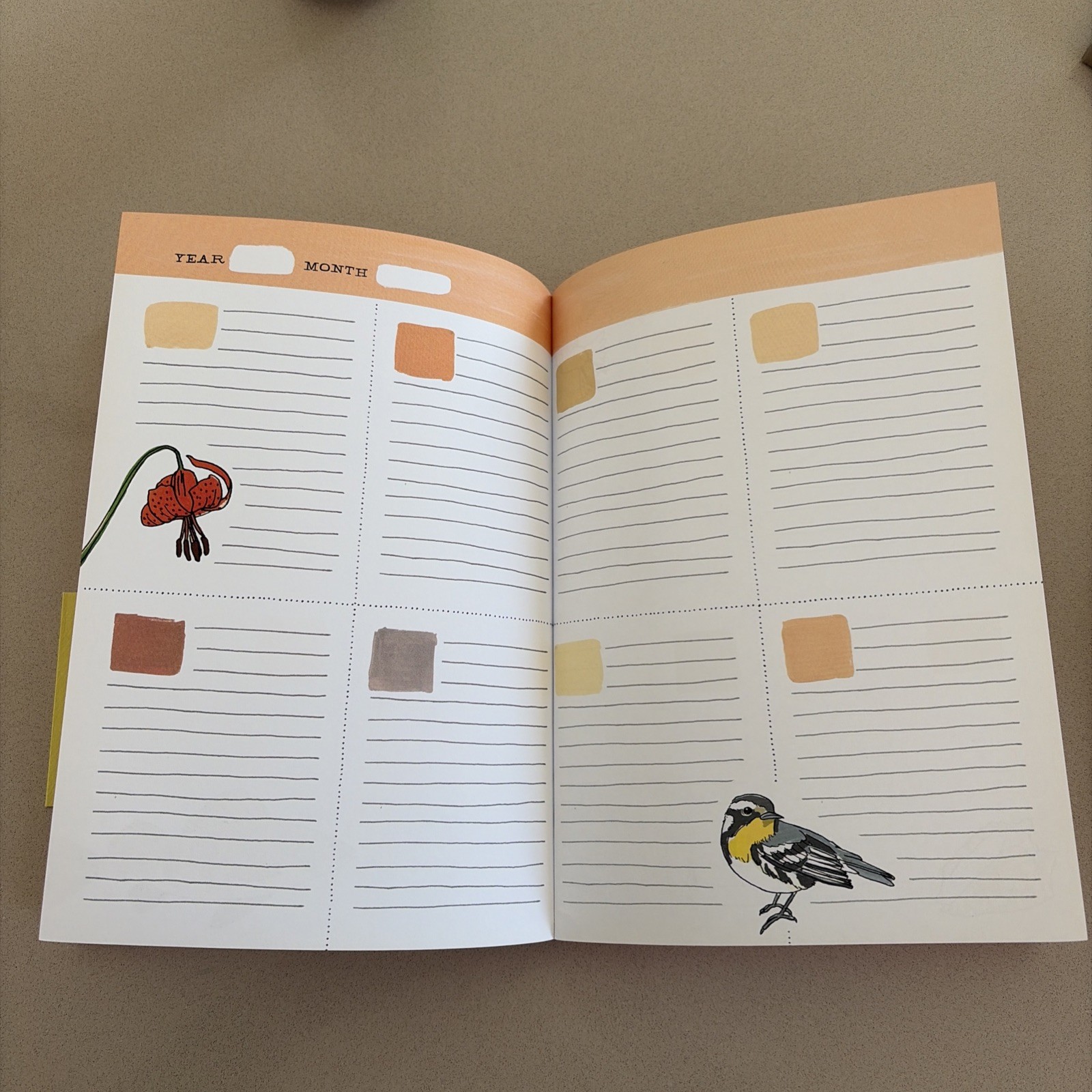 Nature Anatomy Notebook : by Julia Rothman (2019, Paperback)