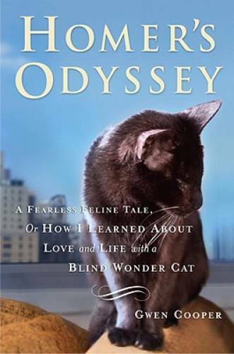 Homer&rsquo;s Odyssey – Hardcover By Cooper, Gwen – GOOD