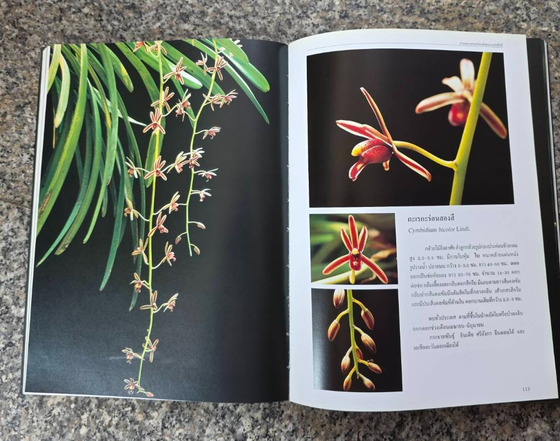Hardcover book featuring all  » Thai orchids.  » ( Hardcover)