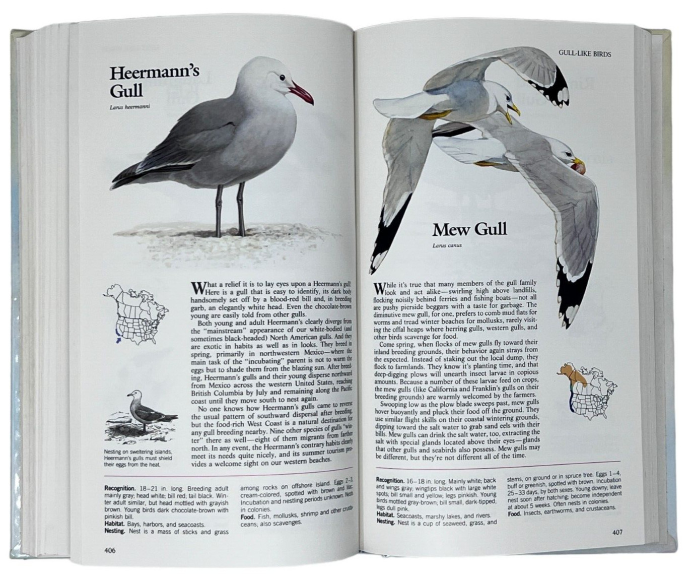 Reader&rsquo;s Digest Book of North American Birds 1990 600 Species 576 Pages Illos