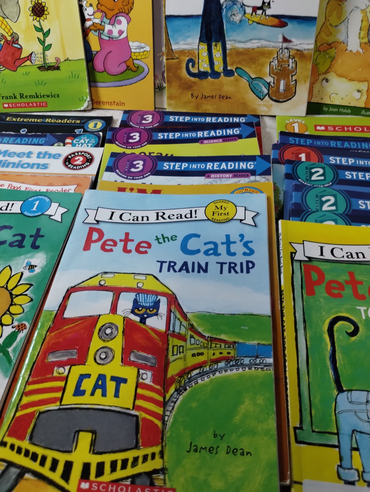 Lot Of 30 Early Beginnings Young Readers – Levels 1, 2 , 3