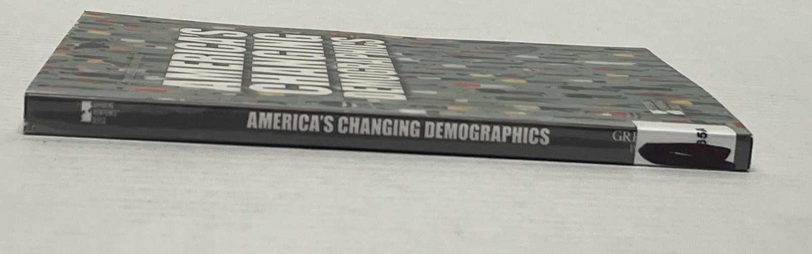 America&rsquo;s Changing Demographics (Opposing Viewpoints)